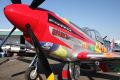 012_P51D_Mustang.jpg