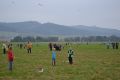 DSC_1978.jpg