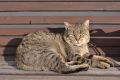 Jméno souboru : DSC_4649.JPG
Velikost souboru : 2038KB
Rozměry : 3456x2304
Datum přidání : Listopad 20, 2017 DSC_4649.JPG