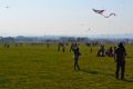 Jméno souboru : DSC_8213.JPG
Velikost souboru : 2004KB
Rozměry : 3456x2304
Datum přidání : Říjen 08, 2018 DSC_8213.JPG