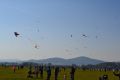 Jméno souboru : DSC_8219.JPG
Velikost souboru : 1926KB
Rozměry : 3456x2304
Datum přidání : Říjen 08, 2018 DSC_8219.JPG