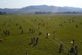 Jméno souboru : DSC_8232.JPG
Velikost souboru : 2015KB
Rozměry : 3456x2304
Datum přidání : Říjen 08, 2018 DSC_8232.JPG
