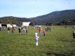 PA150108.JPG