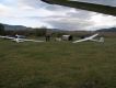 PA220140.JPG