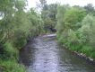 PICT0250.JPG